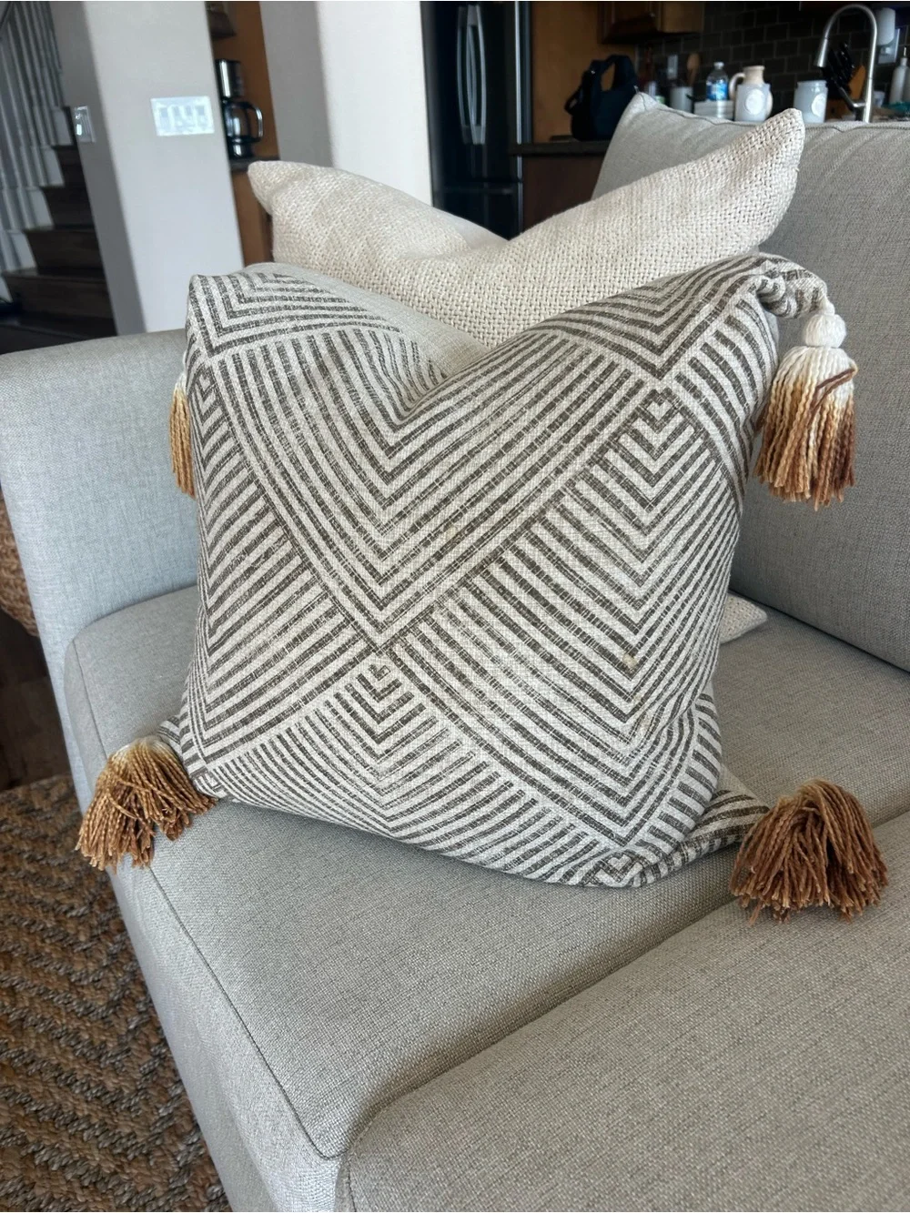 Villa by Classic Home Tassel Pillow Cover